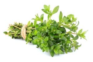Thyme Herbs