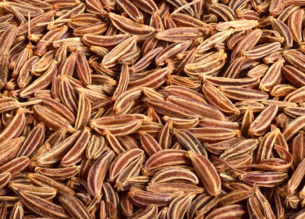Caraway Seeds as substitute for cumin seeds