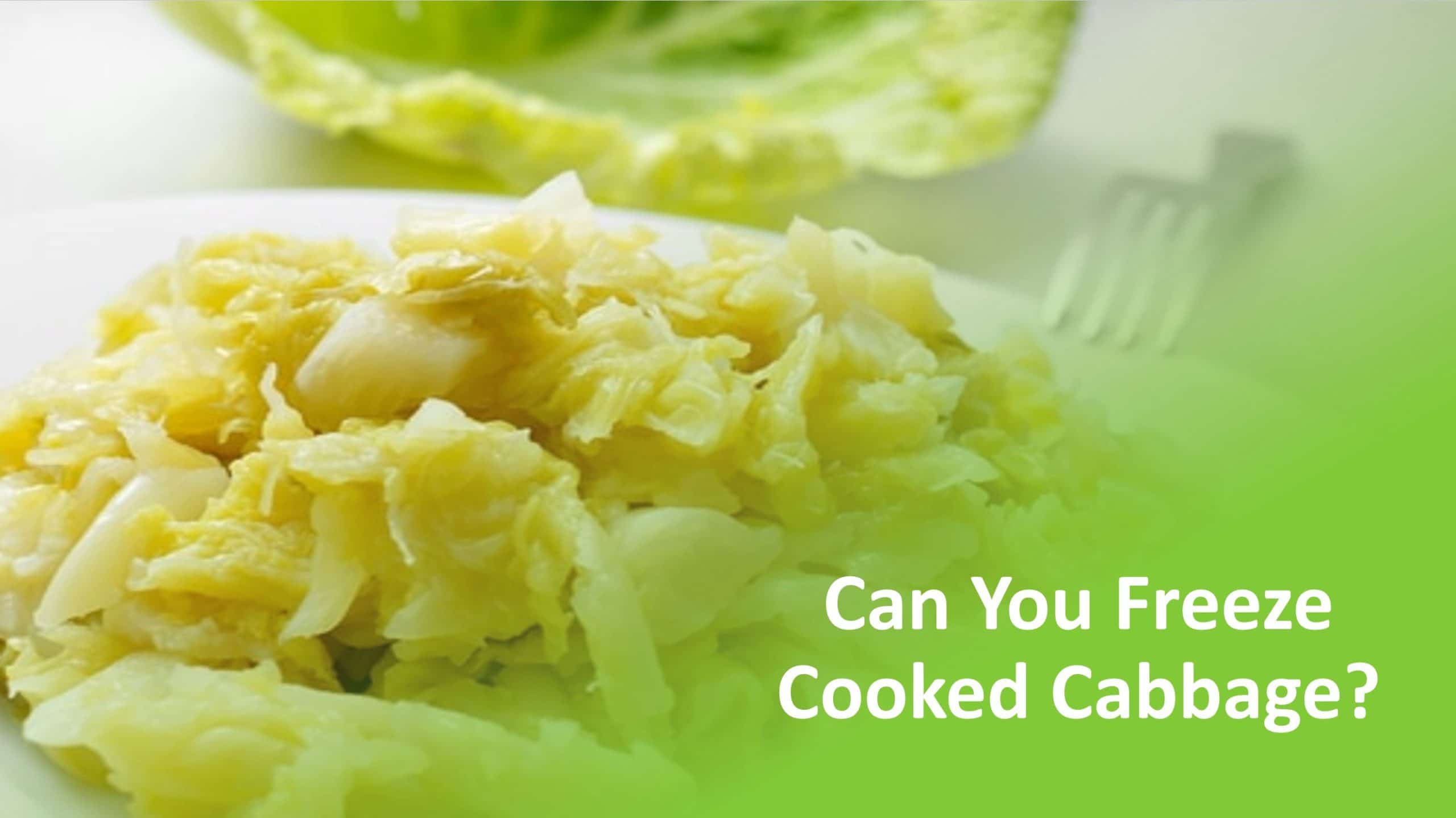 Can You Freeze Cooked Cabbage? Food Champs