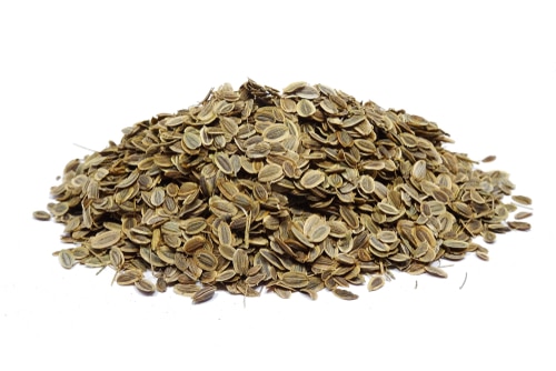 Dill Seeds can also serve as good fennel seed substitute