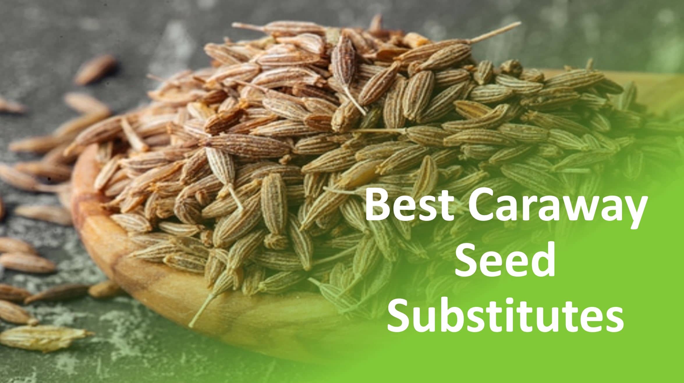 Substitute For Caraway Seeds & Alternative Replacement Top 5 Picks