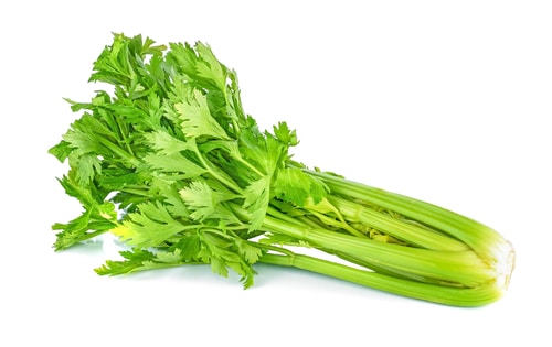 Celery leaves as red onion substitute