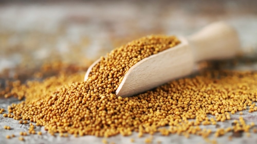 mustard seeds