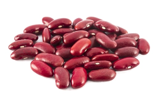 Kidney Beans as pinto beans replacement