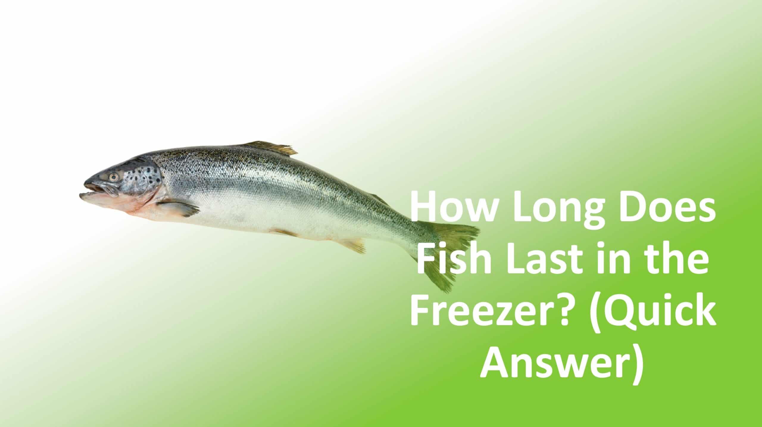 How Long Does Fish Last in the Freezer? (Quick Answer)