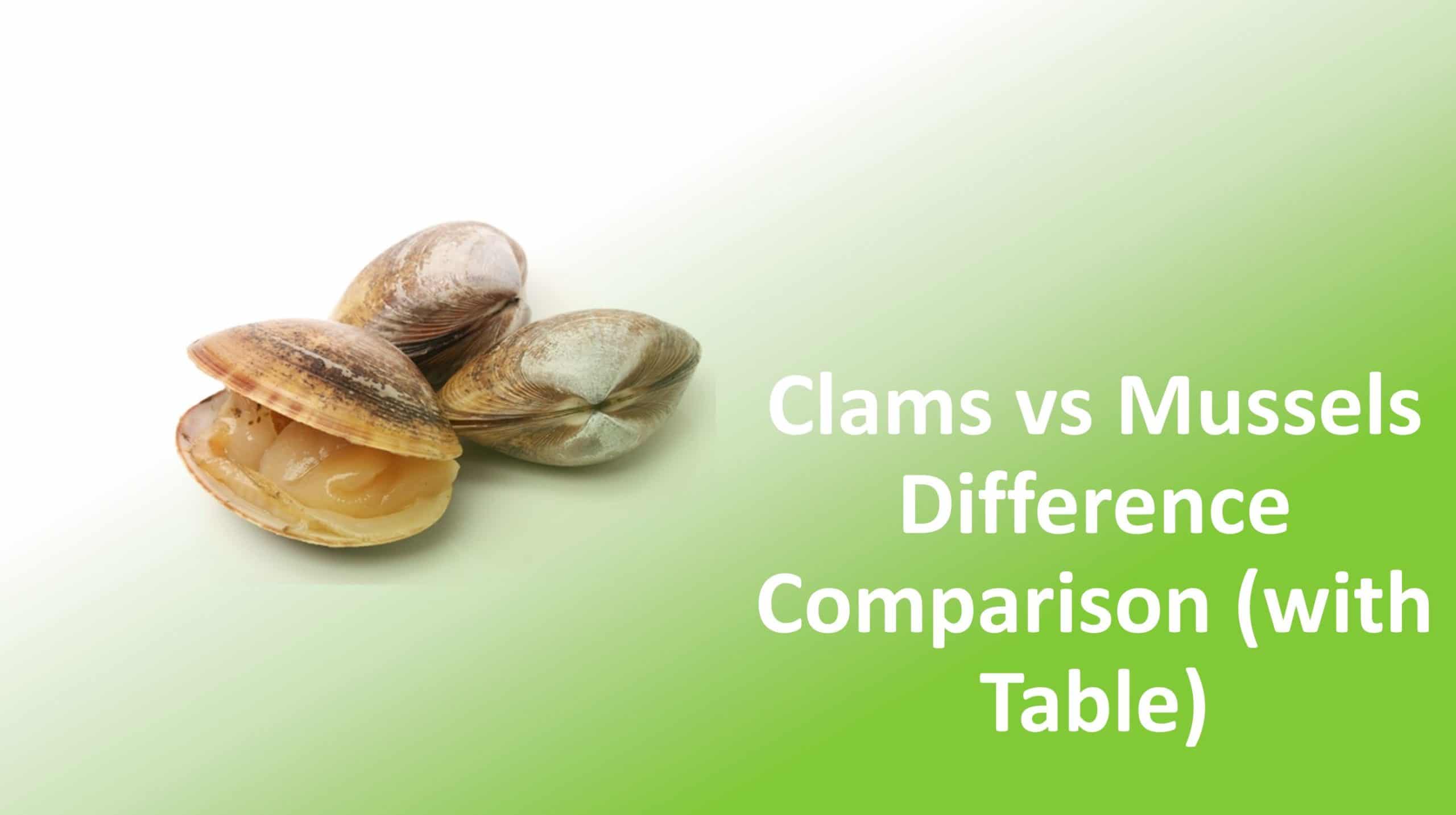 Clams vs Mussels Difference Comparison (With Table)