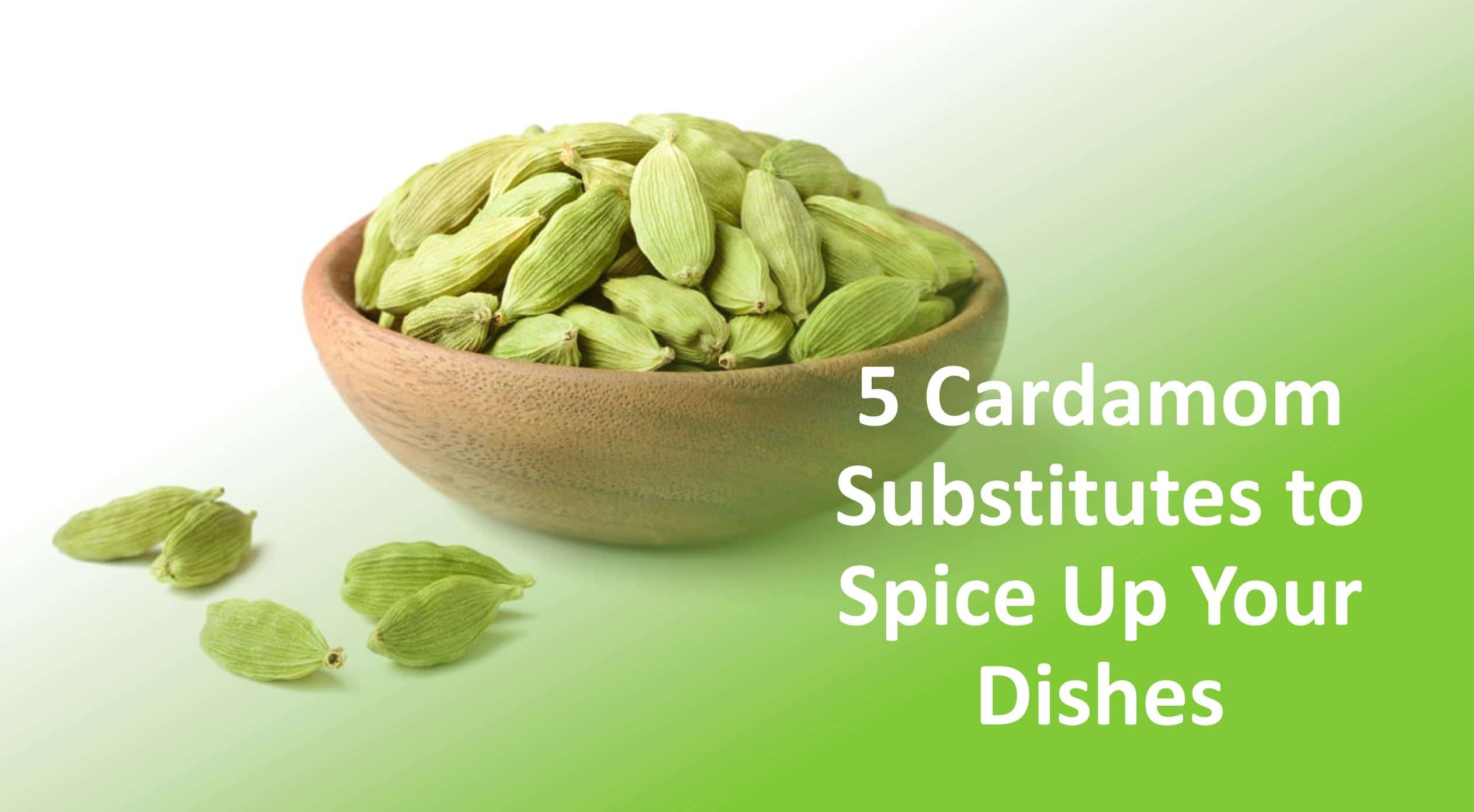 5 Cardamom Substitutes To Spice Up Your Dishes