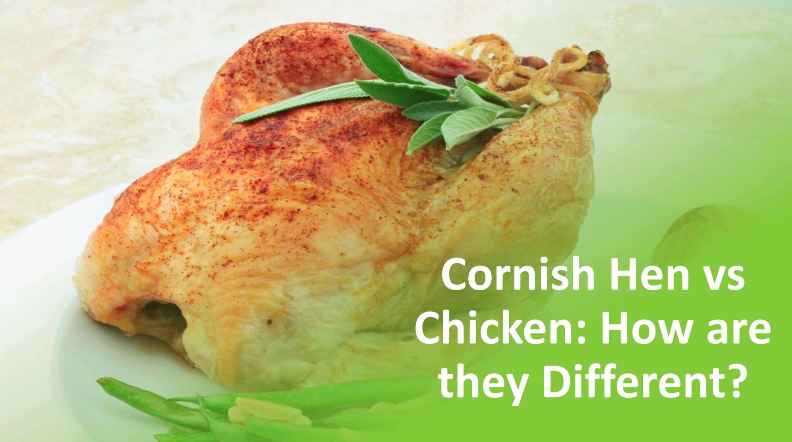 Cornish hen vs chicken how are they different 
