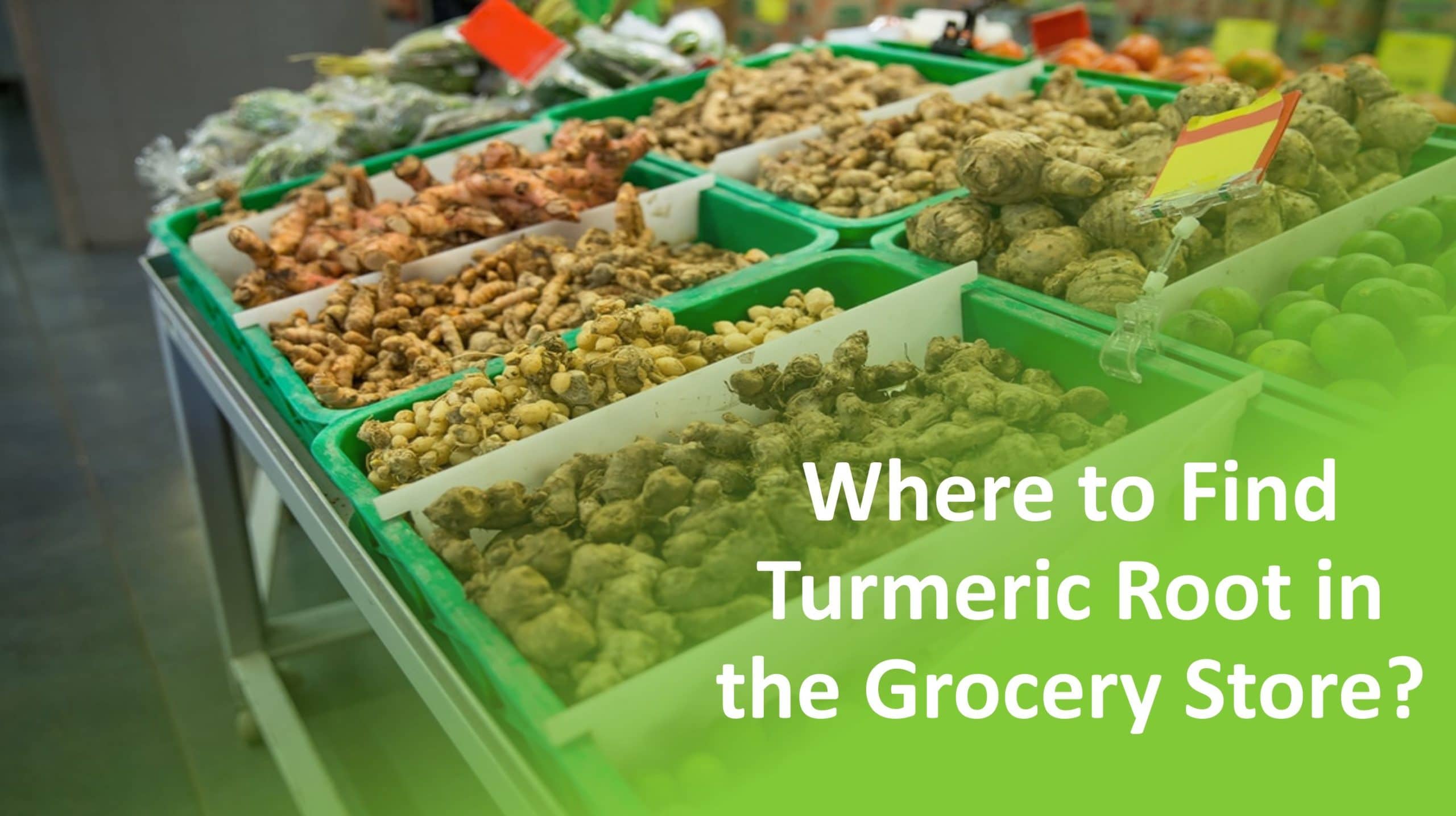 Where to Find Turmeric Root in the Grocery Store?