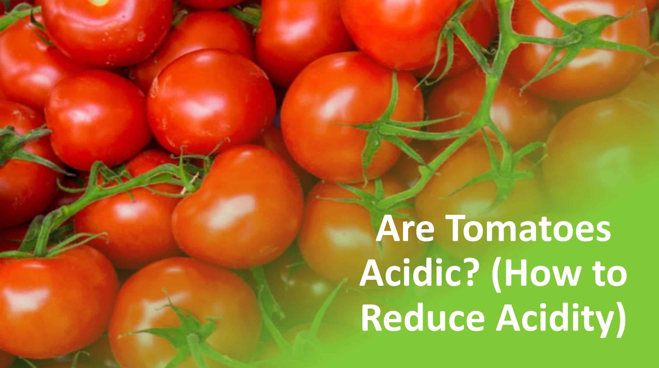 Are Tomatoes Acidic Or Alkaline  