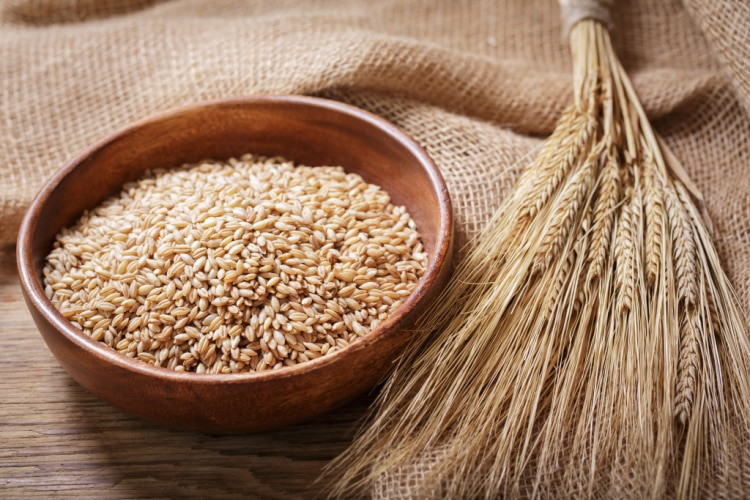 Barley Gluten-Free