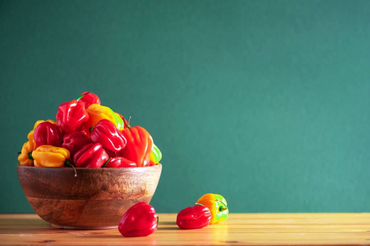 5 Of The Best Substitutes For Scotch Bonnet Peppers You Need To Try