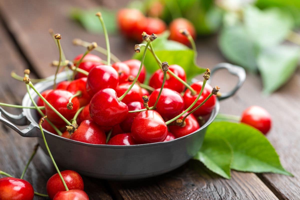 Are Cherries Acidic? Learn More About Cherries and Acid Reflux Here