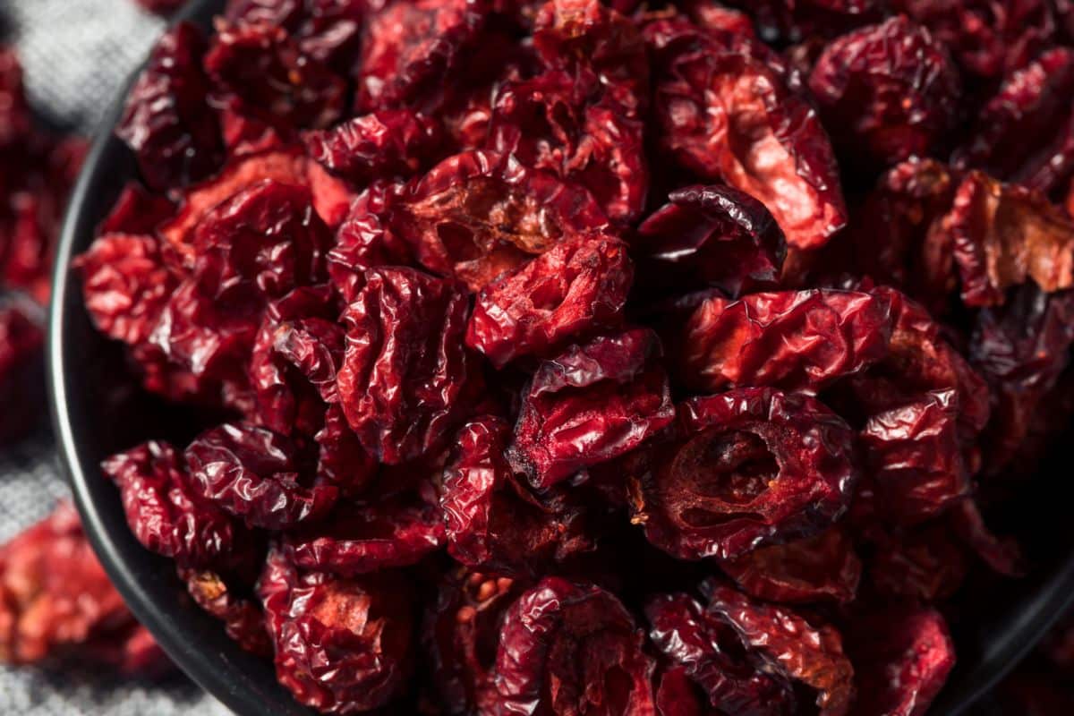 Are dried cranberries on sale bad for dogs