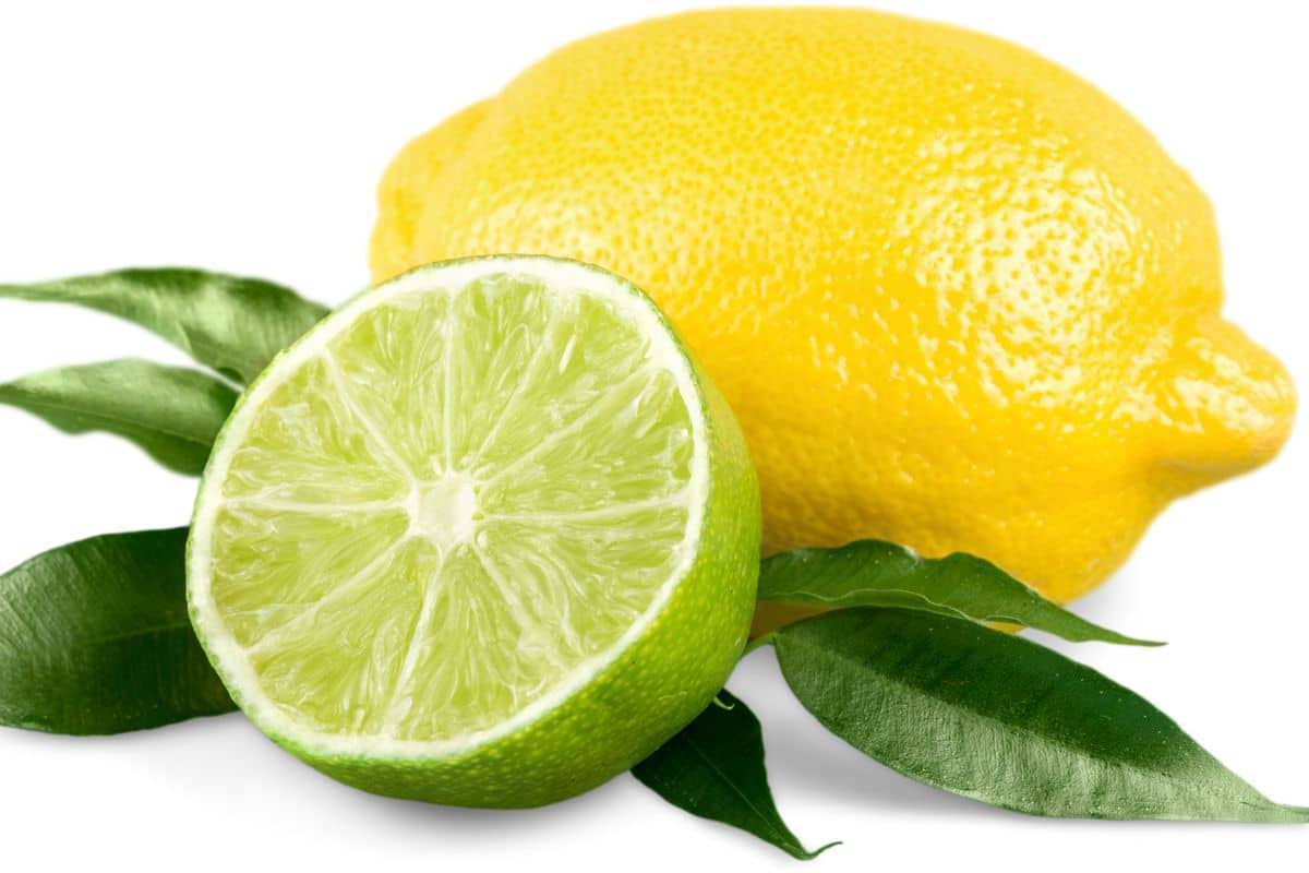 Are Limes Unripe Lemons? The Ultimate Guide