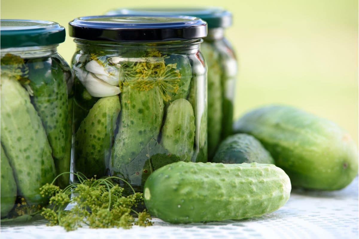Are Pickles Cucumbers Or Are They Different Foods (1)