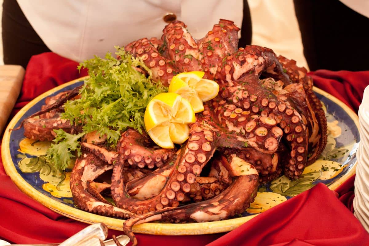 Battle Of The Seafood! Squid Vs Octopus Vs Calamari