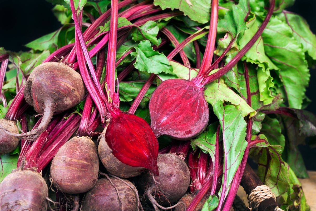 Beetroot: What Exactly Does It Taste Like?