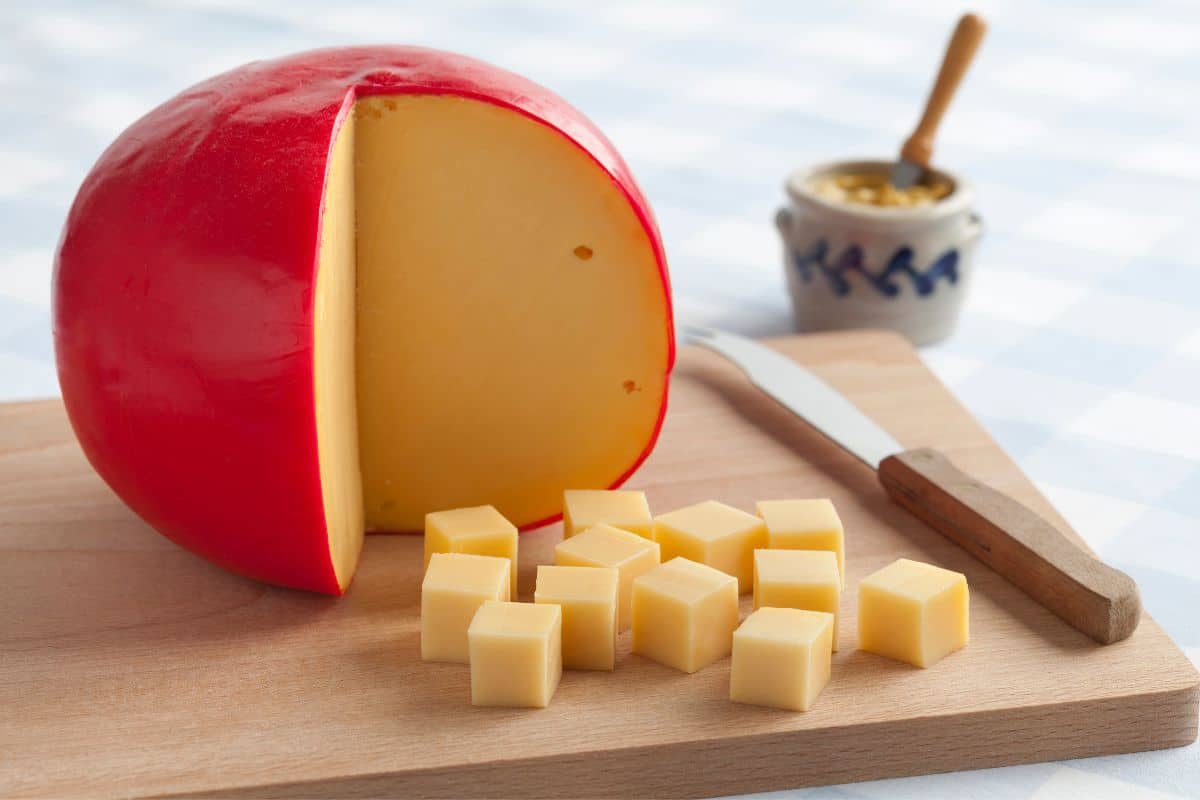 Best Substitutes for Cheddar Cheese
