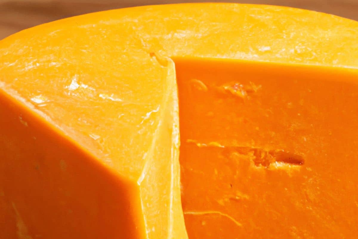 BEST SUBSTITUTES FOR CHEDDAR CHEESE