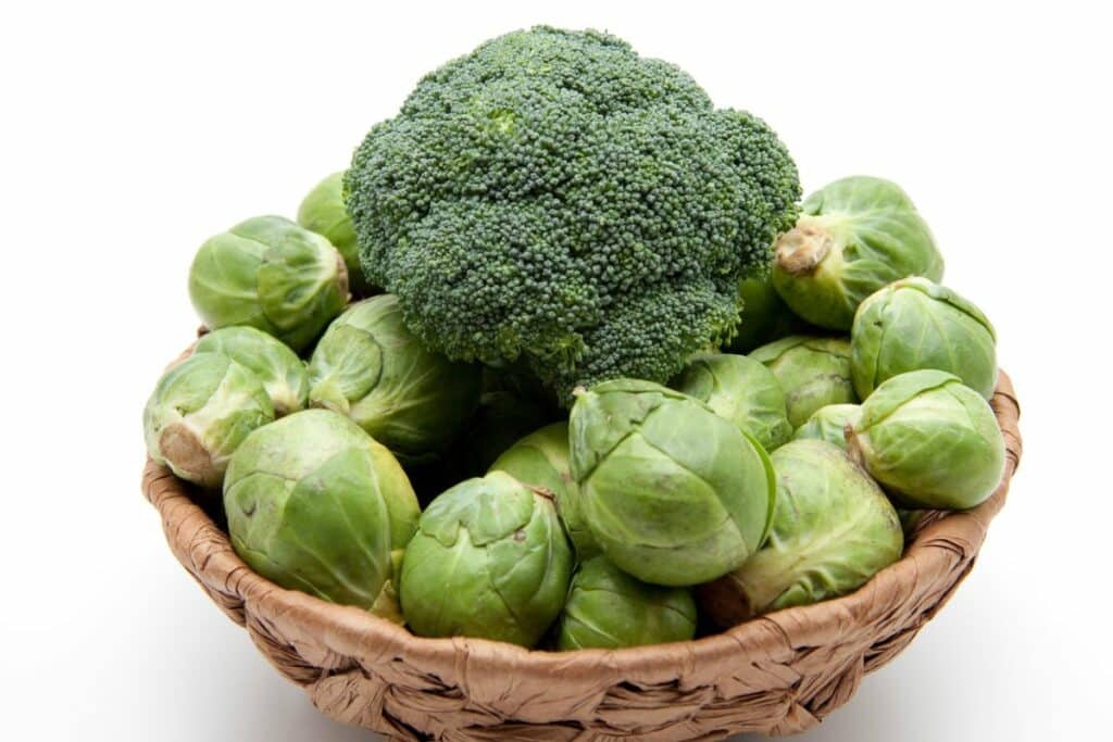 Brussel Sprouts Vs Broccoli