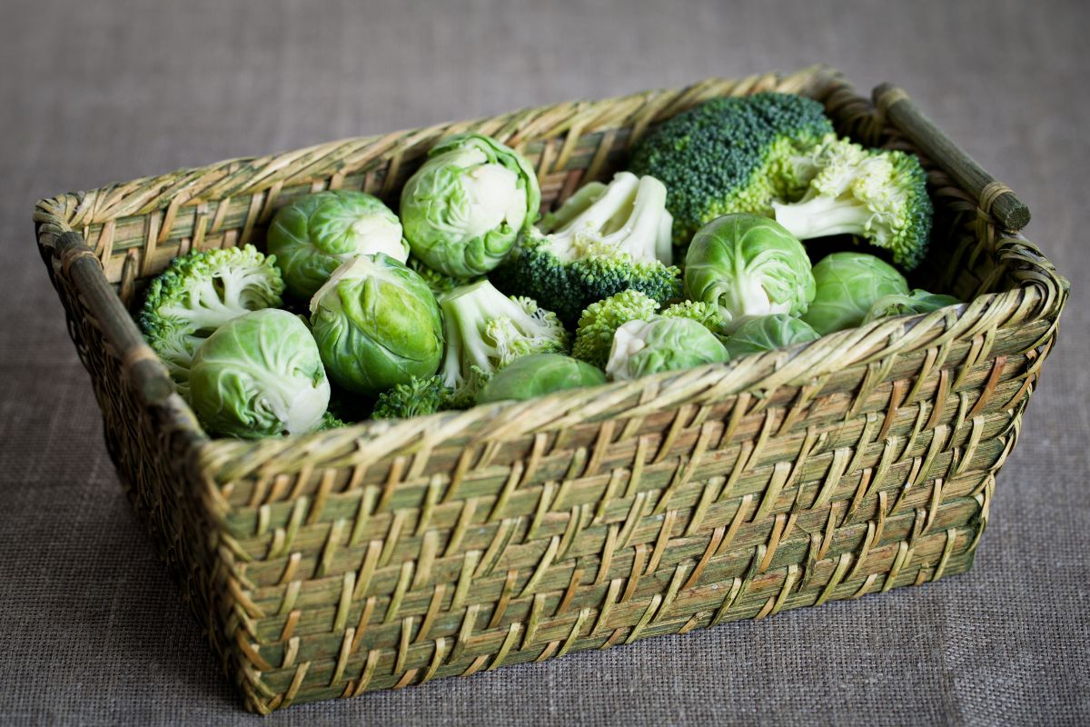Brussel Sprouts Vs Broccoli – How Do These Two Essential Greens Compare