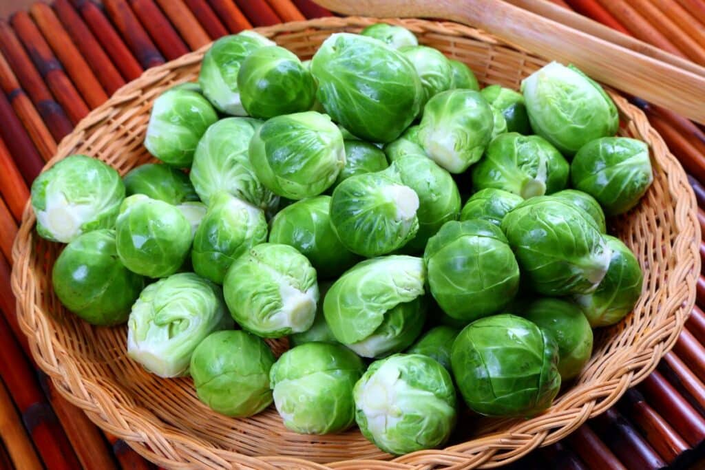 Brussel Sprouts Vs Broccoli – How Do These TwoEssentialGreens Compare