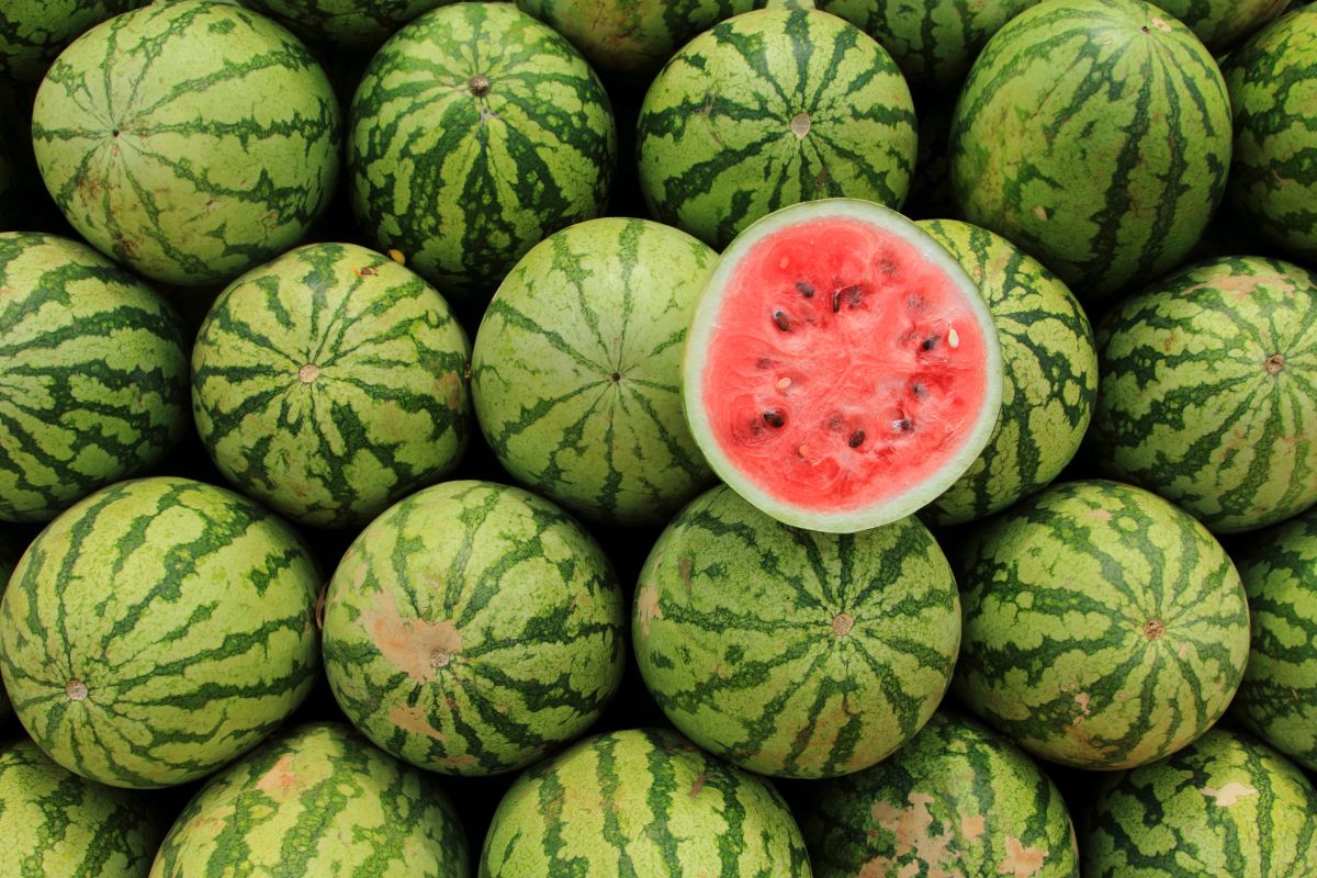 Can You Safely Eat White Watermelon (3)