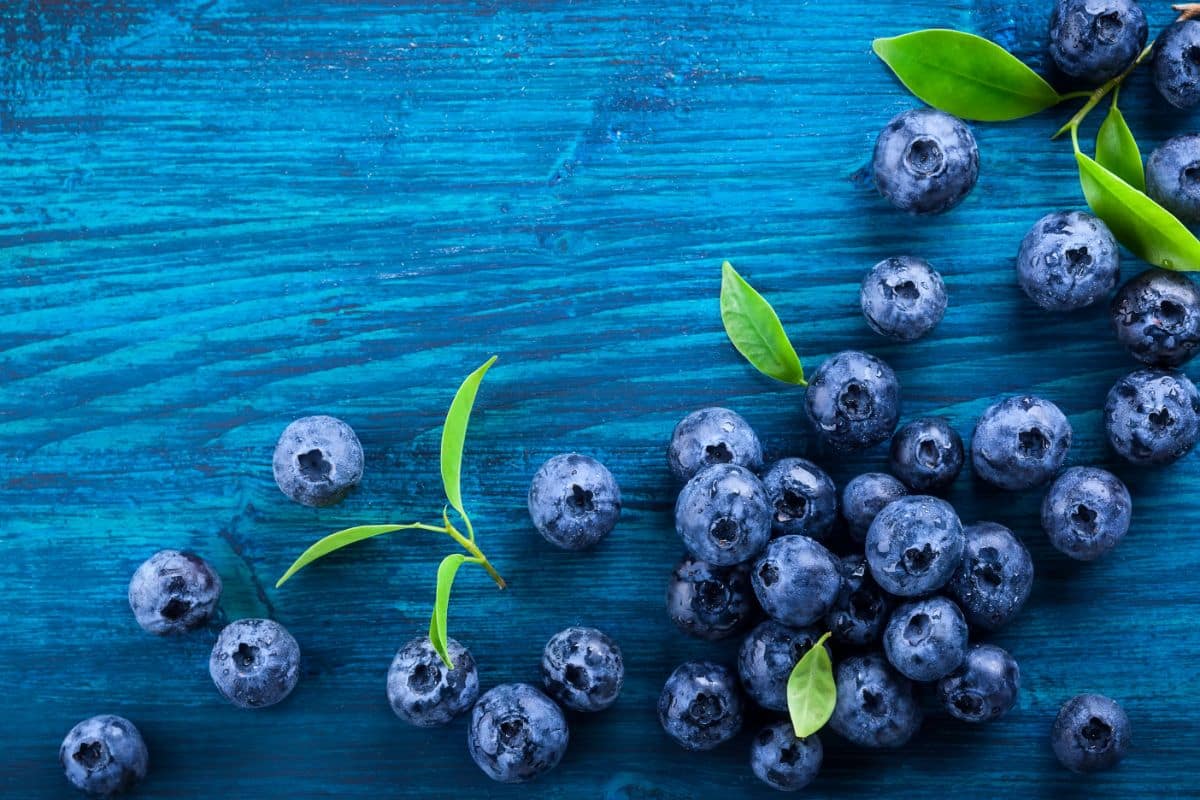 Do Blueberries Have Seeds (1)