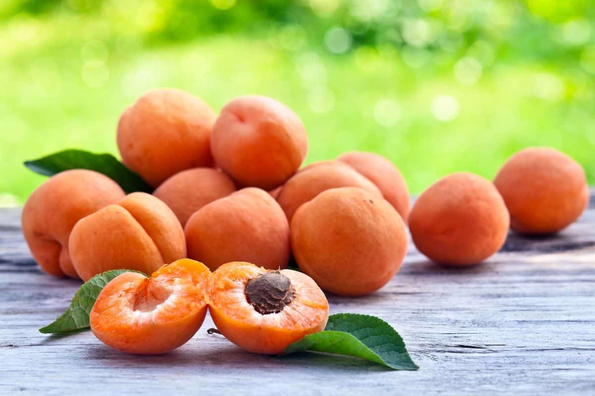 Healthy Fruits That Are The Color Orange