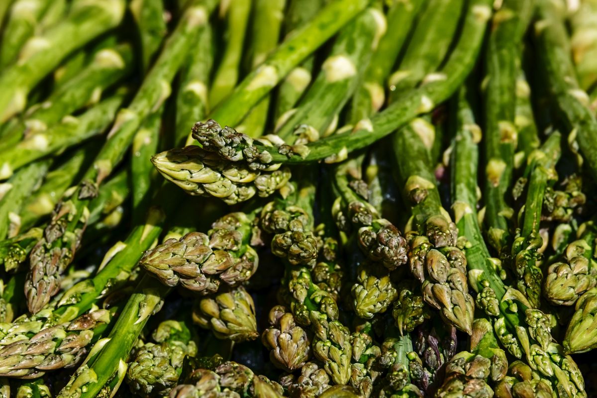 How Long Does Asparagus Last? 4 Signs Of Expiration