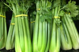 How Long Does Celery Last and Can You Tell When It’s Bad?