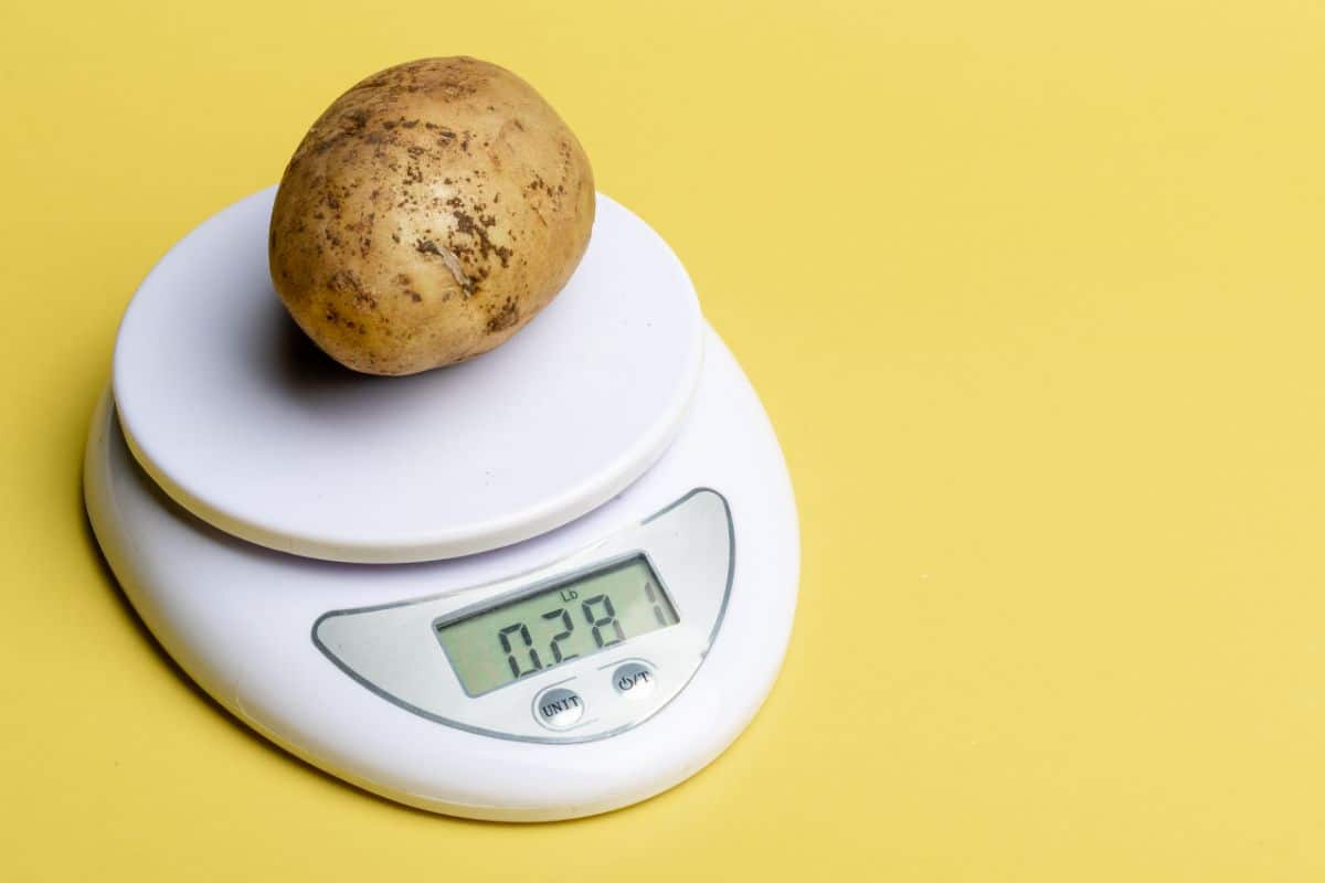How Much Does A Medium Potato Weigh?