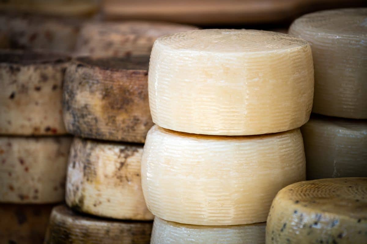 Pecorino Cheese – Does It Taste Good?