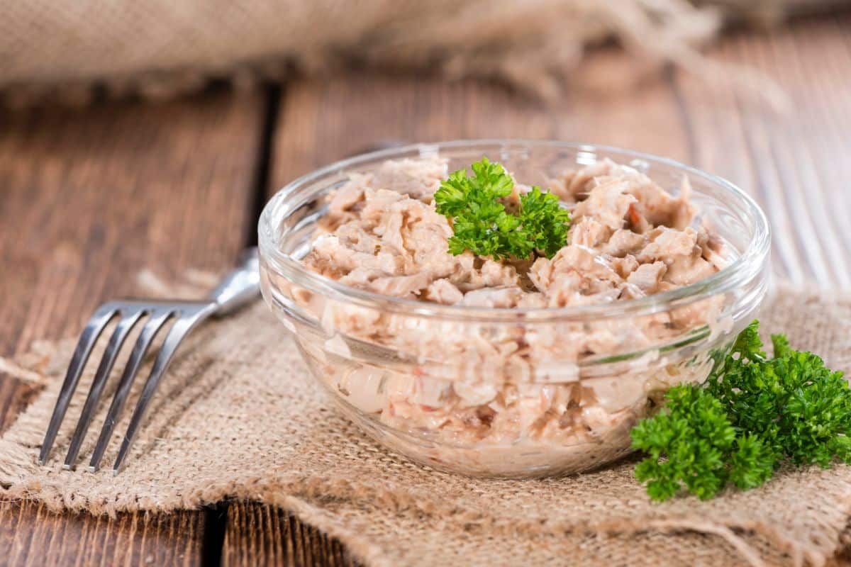 So, What Is The Shelf Life Of Tuna Salad?