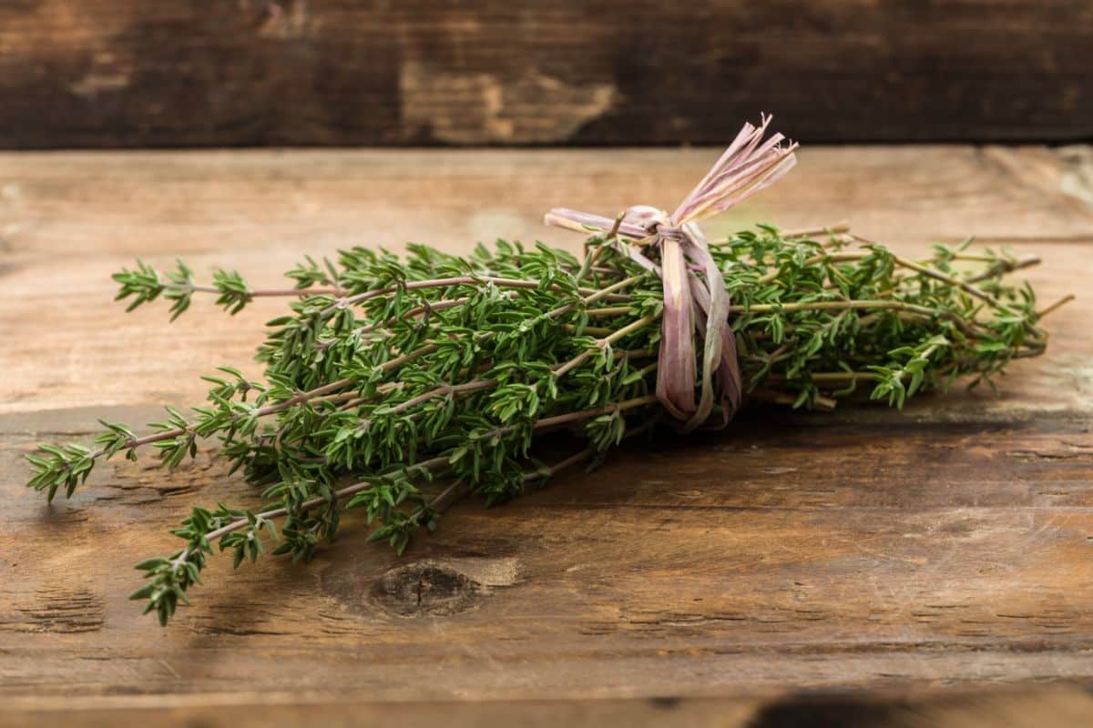Substitutes For Thyme