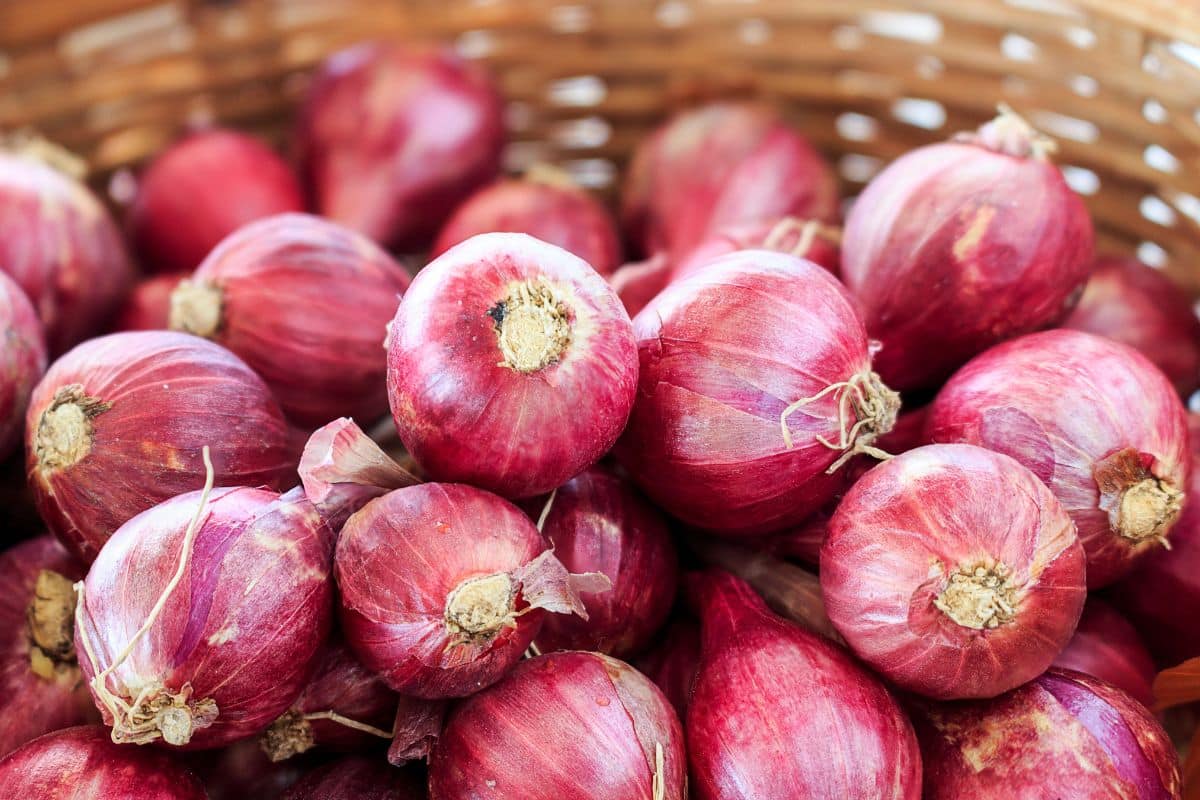 Substitutes For Vidalia Onions For Delicious Meals - Shallots