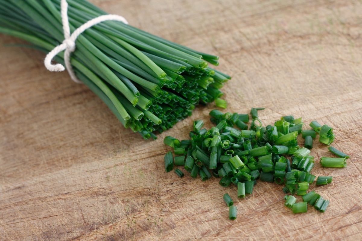 Substitutes For VidaliaOnions For Delicious Meals -Chives