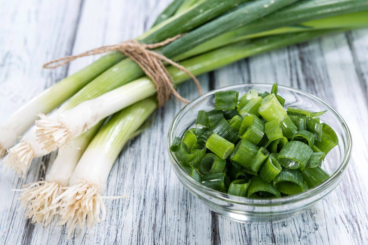 Substitutes For VidaliaOnions For Delicious Meals - Scallions