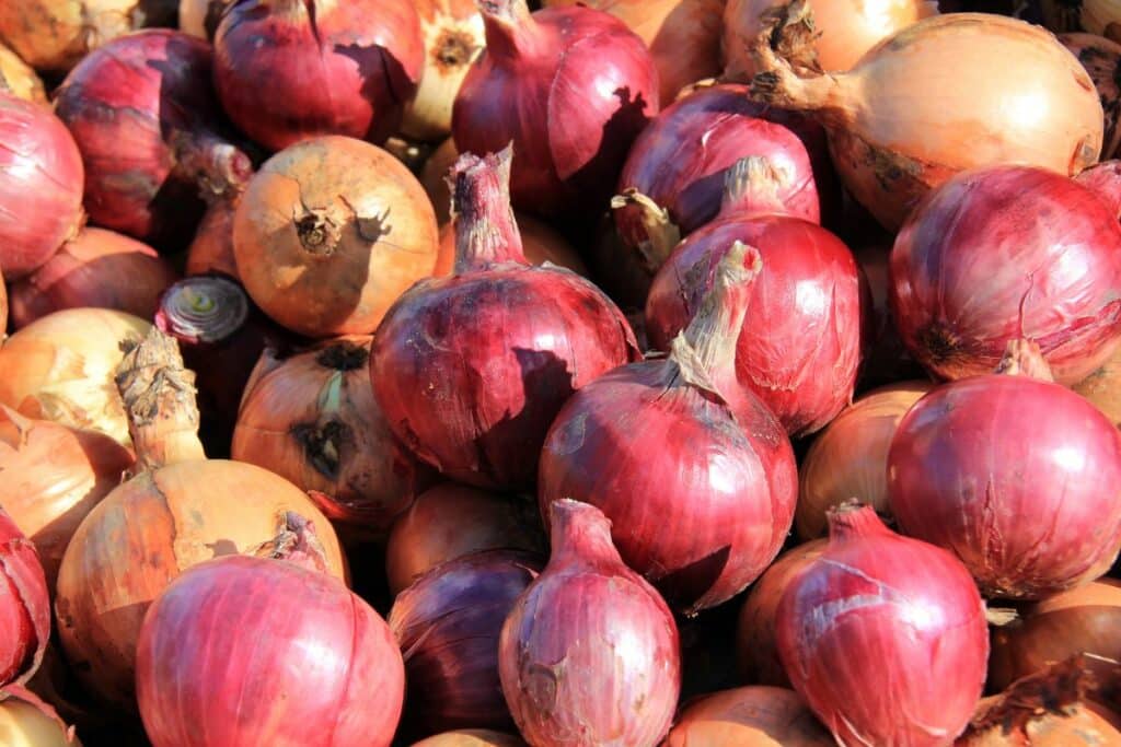 Substitutes For VidaliaOnions For Delicious Meals - Spanish Onions