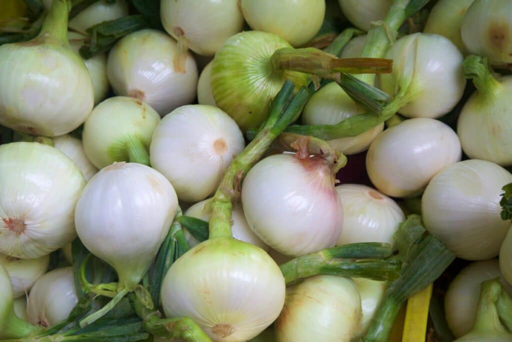 Substitutes For VidaliaOnions For Delicious Meals - Sweet Onions