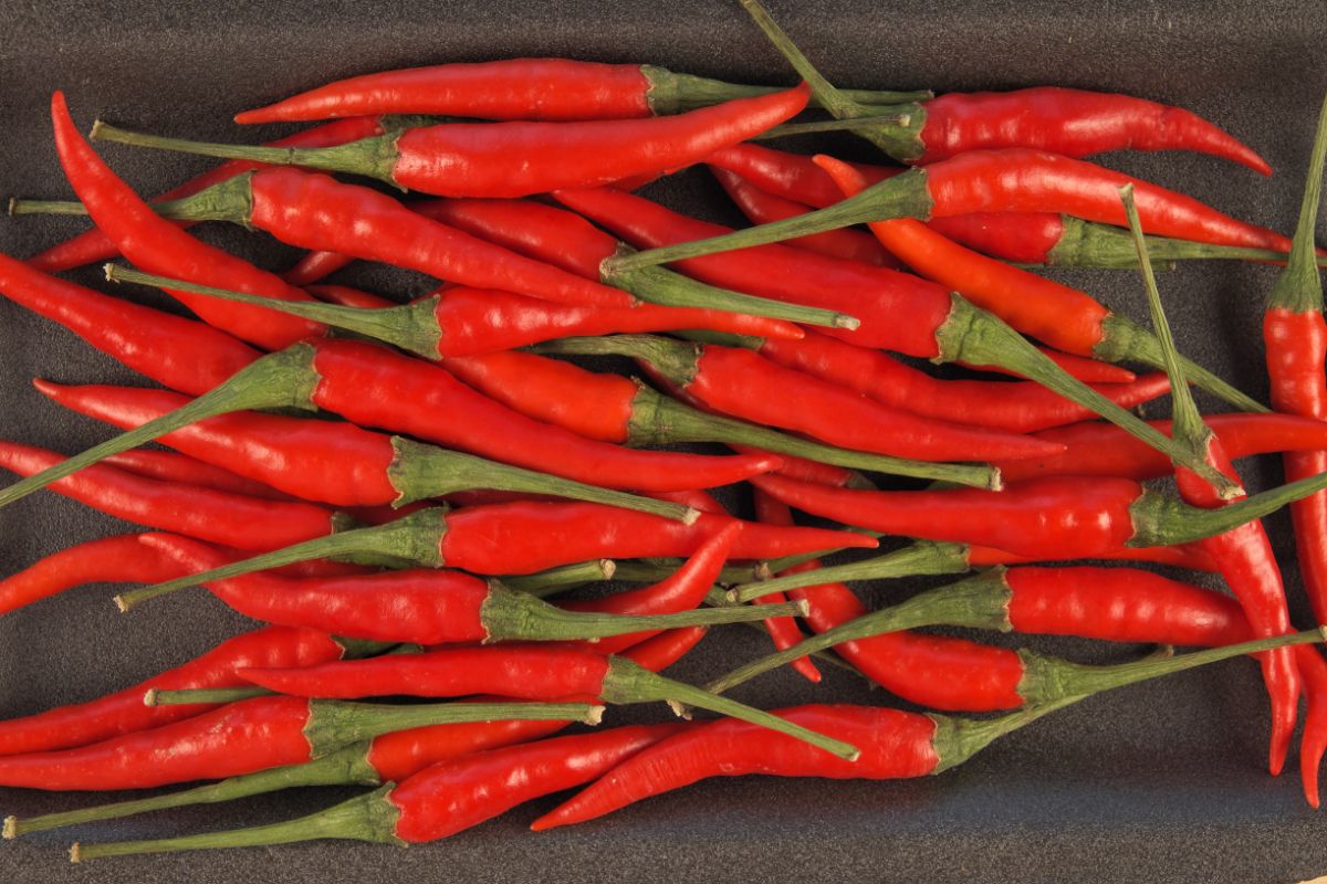 Thai Peppers A Closer Look At Their History, Flavor, & Uses