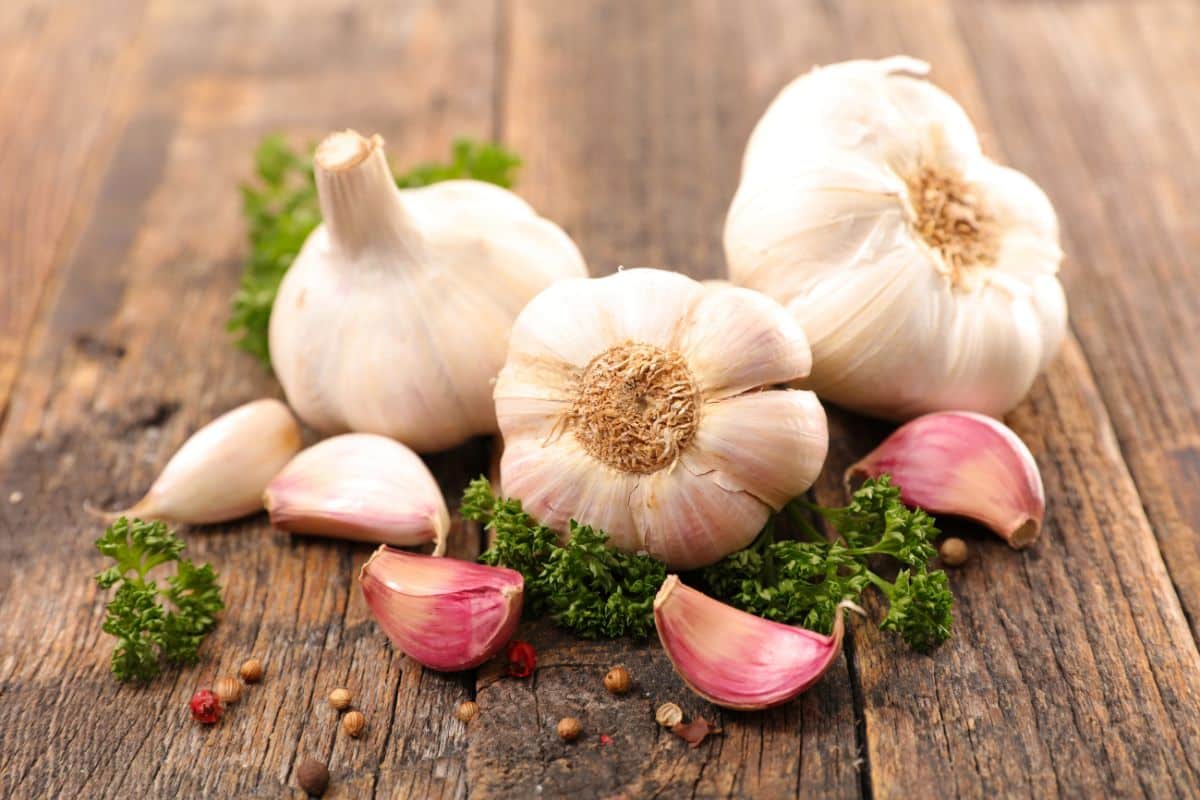 The Basics Of Garlic How Many Cloves Are In A Bulb