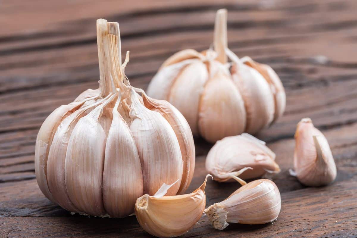 The Basics Of Garlic How Many Cloves AreIn ABulb