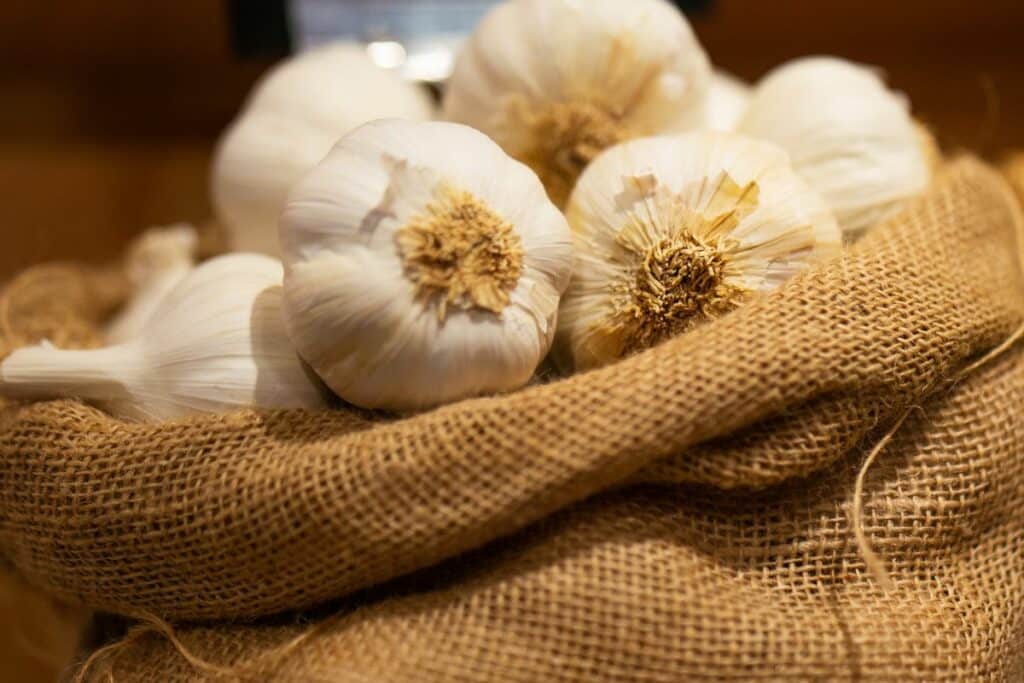The Basics of Garlic How Many Cloves are in a Bulb (2)