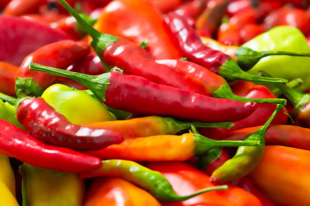 The Best Substitutes For Bird's Eye Chili