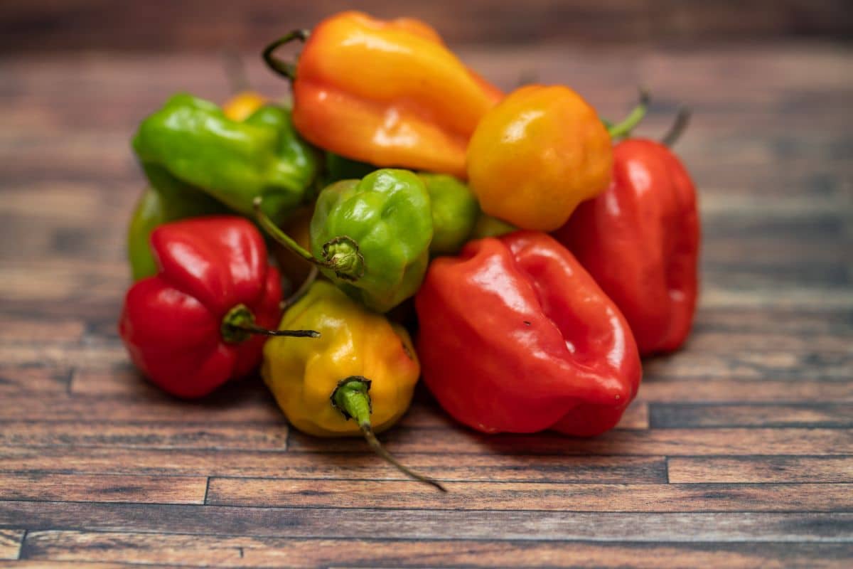 The Best Substitutes For Bird's Eye Chili