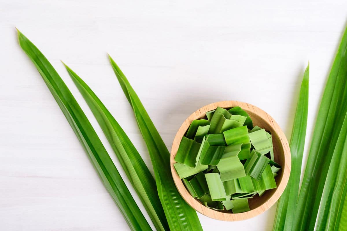 What Are The Best Substitutes For Pandan?