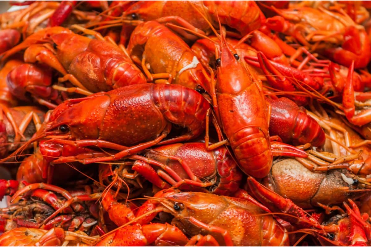 What Does Crawfish Taste Like And How To Eat It (1)