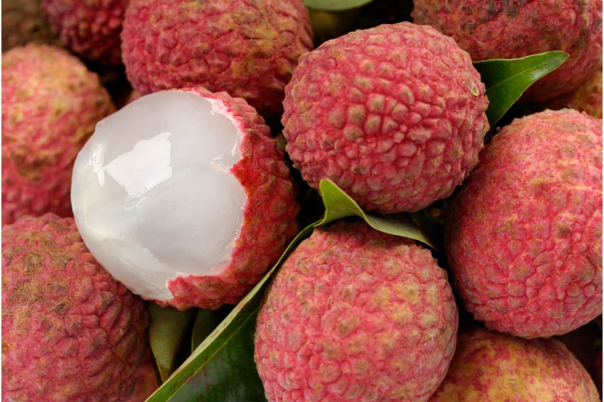 What Does Lychee Fruit Taste Like?: A Quick And Simple Guide